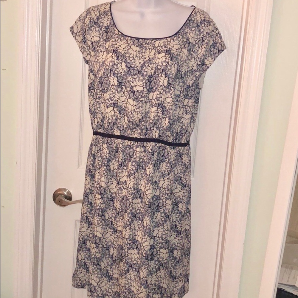 Ann Taylor LOFT flower print white and navy dress.